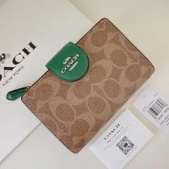 Item thumbnail for item 4978bd19-8518-47ae-a3c4-254f4815b59f