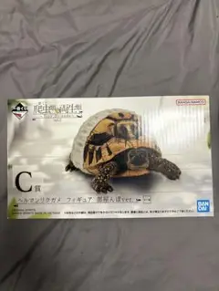 一番くじ　爬虫類＆両生類　C賞　ヘルマンリクガメ　フィギュア　部屋んぽver.