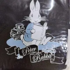 Item thumbnail for item 240a53a1-31ee-4683-8ff0-e4bb3967067c