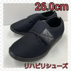 Item thumbnail for item 9ff1276a-3031-495f-8f9f-d64227f6bd92