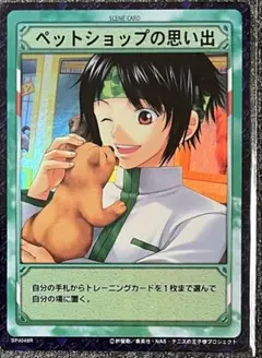 テニプリ　TCG ペットショップの思い出