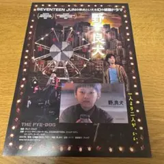 SEVENTEEN JUN 映画 野。良犬 入場特典