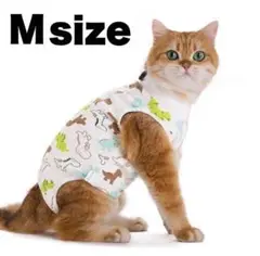 Item thumbnail for item 5b456721-f8e5-46fc-9132-ee5ce354e216