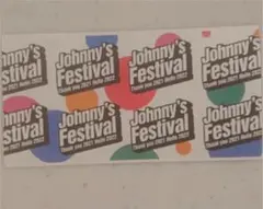 ジャニフェス 半券
