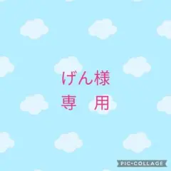 専用　ハンドメイドマスク　少し小さめ
