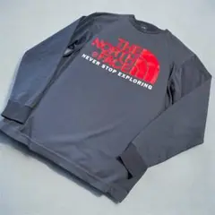 ノースフェイス ハーフドーム　ロンT カットソー　M ネイビー　国内正規品