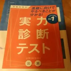 ベネッセ実力診断テスト小2