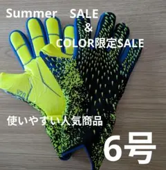 【Wセール】新品未使用　キーパーグローブ　6号