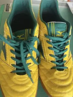 Mizuno WAVE GREVISTA イエロー/グリーン