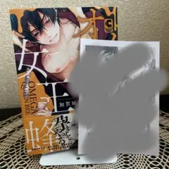 BL漫画 オメガ女王蜂　加賀城ヒロキ