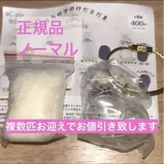 正規品　ノーマル　うちの子のけだまだま　ガチャ