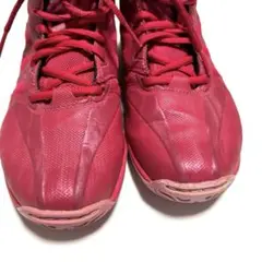 MIZUNO WAVE DIVERSE LG3 23.5cm