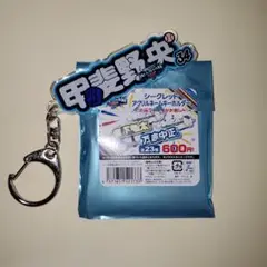オールスター シークレットアクリルネームキーホルダー 甲斐野央 西武ライオンズ