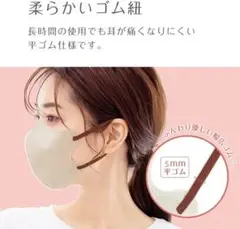 3Dマスク 20枚