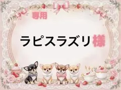 専用