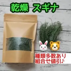 Item thumbnail for item 7923a890-daed-4279-80f4-57038965a8b2