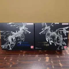 リーフィーシードラゴン タツノオトシゴ ストラップ キーホルダー タツノオトシゴ マグネット×ストラップ – ネイチャー
