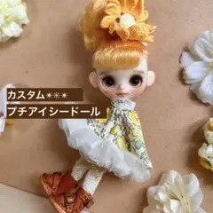 カスタム　プチアイシードール　※プチブライス　サイズ