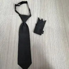 Item thumbnail for item be93b253-beb7-4b5b-a9de-bf0c0e799a74