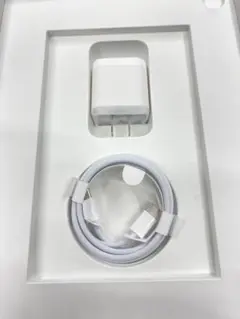 iPad 純正USB-C 充電ケーブル　高速充電アダプタ