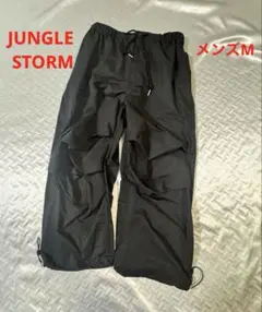 Item thumbnail for item c1c0588c-03ee-4f78-90e7-c8568b71294a