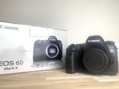 【飛鳥様専用】Canon EOS 6D MARK2 ボディ