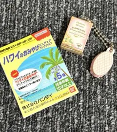 地球の歩き方 ハワイのおみやげコレクション　ココナッツソープ　ミニブック付き