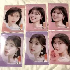 白石麻衣 ファイル feliamo