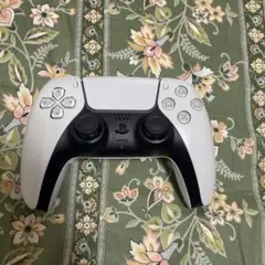 Item thumbnail for item aeb87421-bb48-4b6b-b482-2d7be55ca186