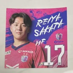 セレッソ大阪 ステッカー シール&特別優待券 阪田澪哉