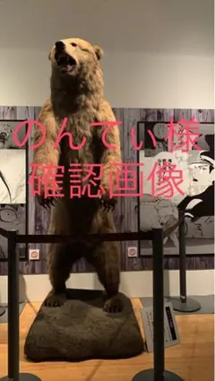 【非売品】発送商品画像確認用
