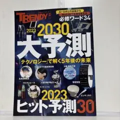 日経トレンディ 2023>>>2030 大予測