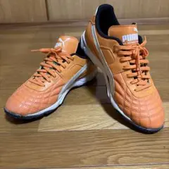 Puma パラメヒコライト TT 26.5