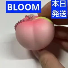 BLOOM ブルーム もも スクイーズ キーホルダー ストラップ