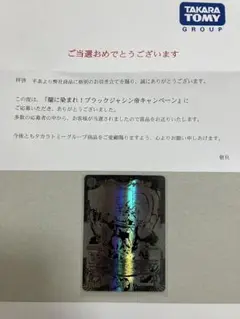 デュエルマスターズ　アビスベル＝ジャシン帝　ブラックジャシン帝　抽選　ブラック