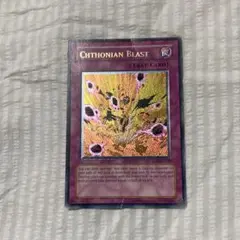 遊戯王　英語　 ヘルブラスト EEN レリーフ 強個体