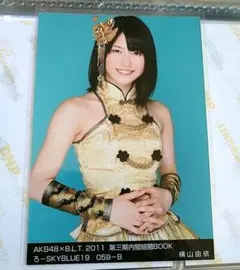 Item thumbnail for item a8a8c495-65ff-44b8-896d-47fda2f719b8