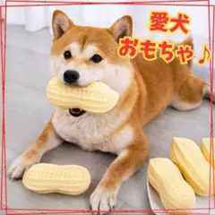 ピーナツ型 ワンちゃんの音が出るおもちゃだよ 犬玩具 オモチャコーギー 柴犬