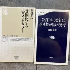 貧困化するホワイトカラー & なぜ日本の会社は生産性が低いのか？