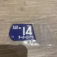 JRA 競馬 テーオーロイヤル　馬番　ゼッケン　マグネット 天皇賞