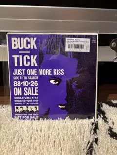 バクチク　BACK-TICK 2枚セット LP レコード　見本盤　ロック i-img1200x1199-