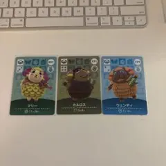 どうぶつの森　amiibo セット