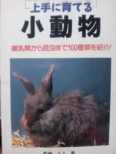上手に育てる小動物
