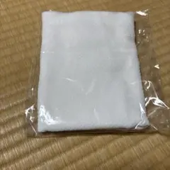 布オムツ