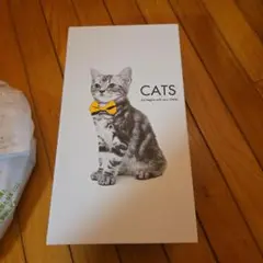 Francfranc　猫　本型　ティッシュケース