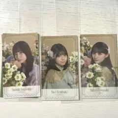 乃木坂モバイル　nogiめくり　B賞　ステッカー　川﨑桜　菅原咲月　冨里奈央