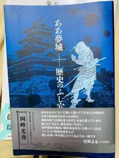ああ夢城+歴史のふし穴 単行本 – 岡峰光舟