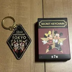 ディズニーストア シークレットキーチェーン チップ デール 25周年
