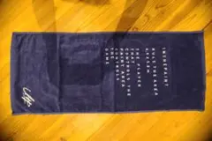 インザペイントタオル(ネイビー)34x84cm