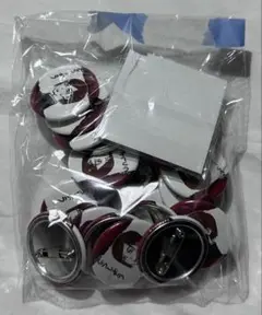 呪術廻戦 缶バッジ